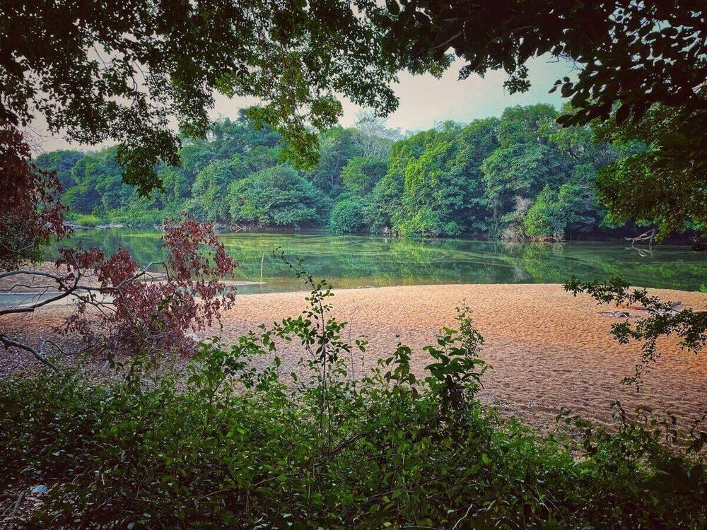 Outamba-Kilimi National Park, Sierra Leone