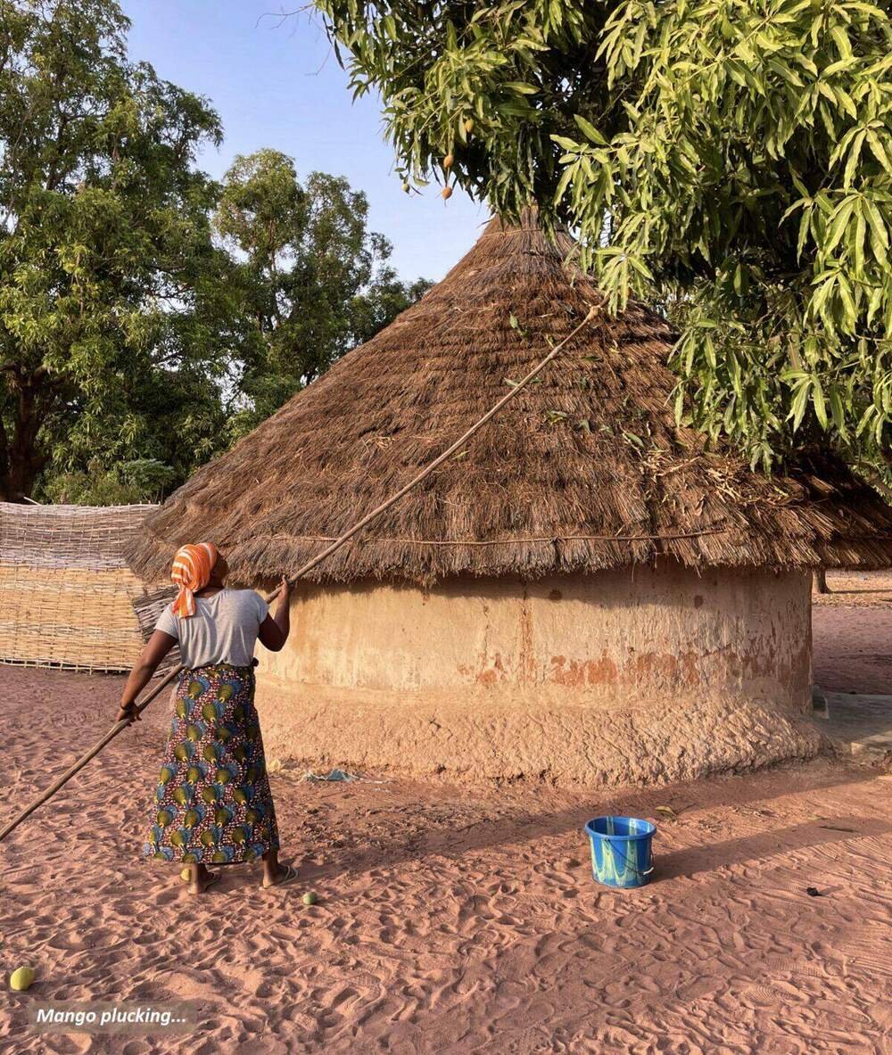 Typical Guinean village with mud huts